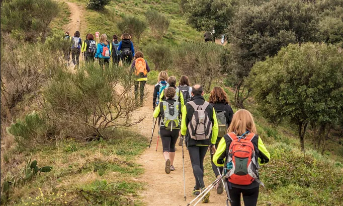 Imatge de la BML 2015