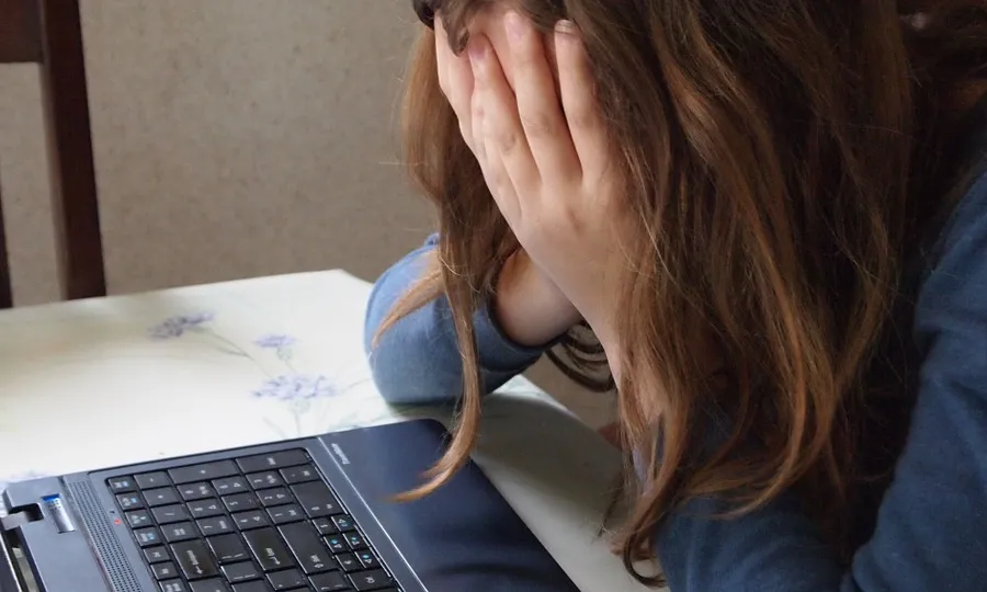 Ciberbullying o assetjament a Internet. Font: Pixabay