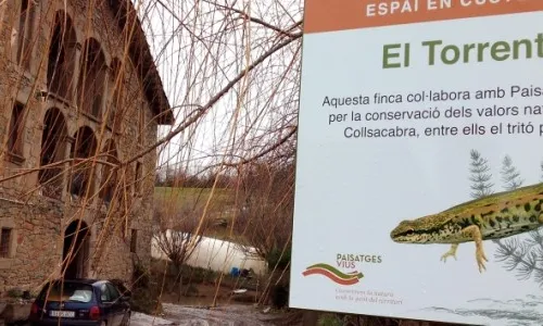 Cartell a la finca de l'Empordà on es treballa per la recuperació del xoriguer petit (imatge:Paisatges Vius)