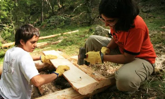 Realitzant tasques de voluntariat al boscos