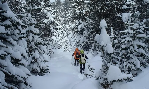 Sortides en raquetes de neu pel Pirineu Català (imatge: guiesdemuntanya.net)