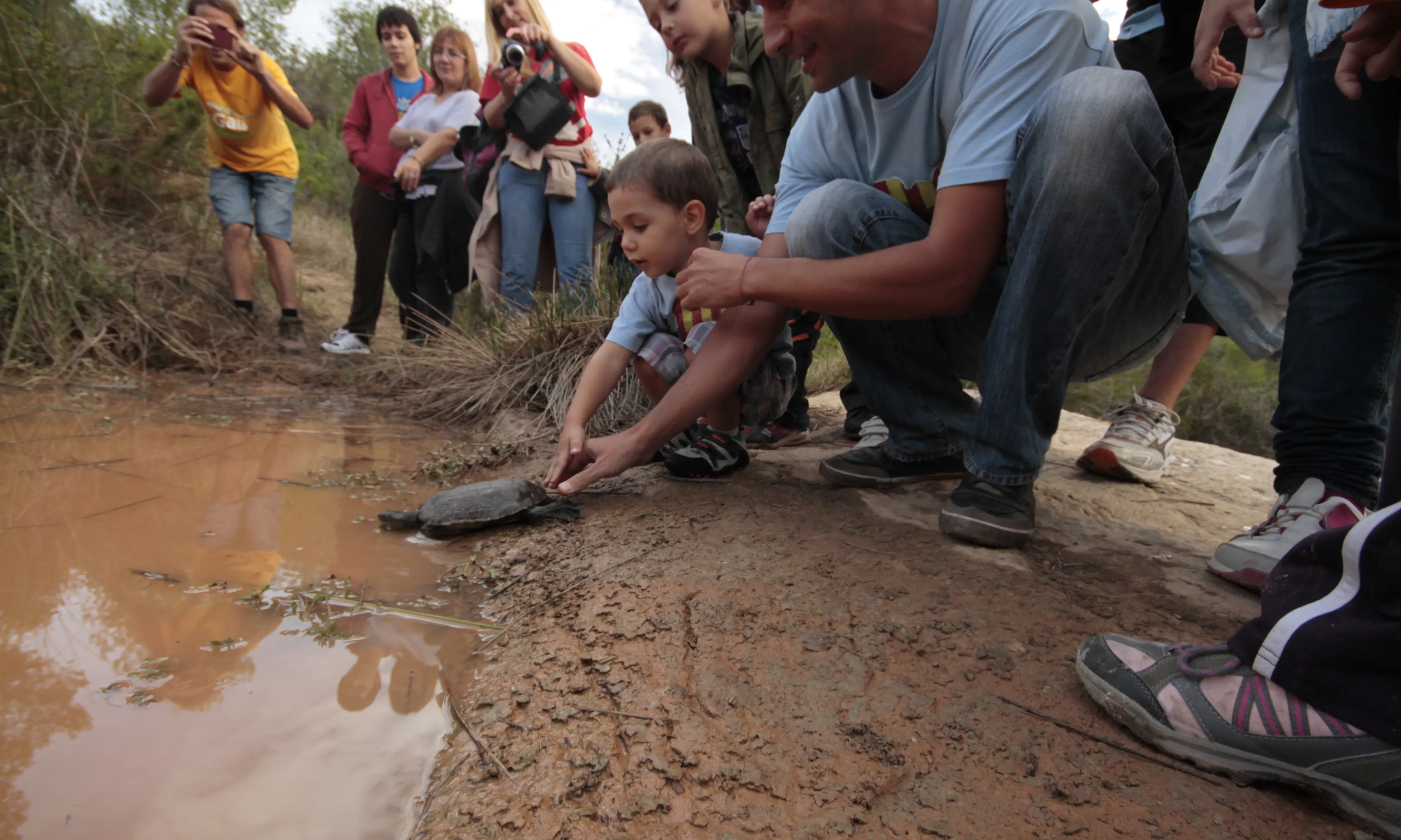 Persones realitzant una activitat per ajudar a la conservació de la tortuga de rierol. Font:Associació Mediambiental la Sínia.