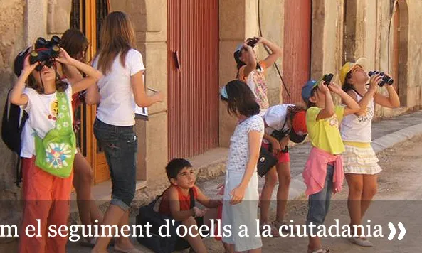 Col·lectius com esplais i escoles participen en el projecte Orenetes (imatge:ornitologia.cat)