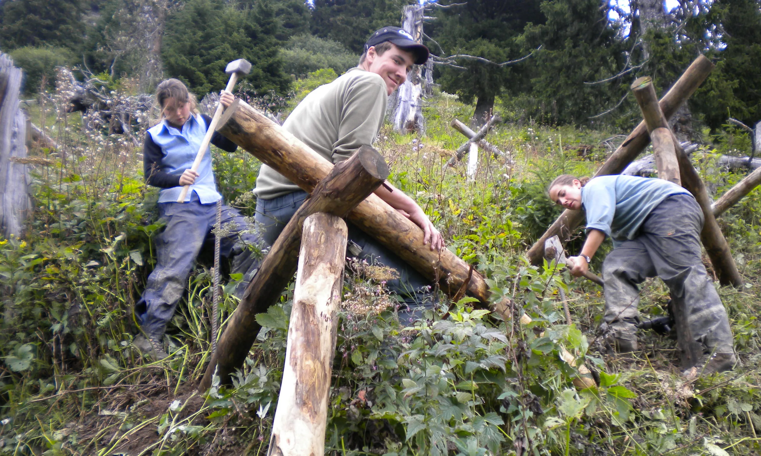 Bergwald Projekt. Font: Wikimedia