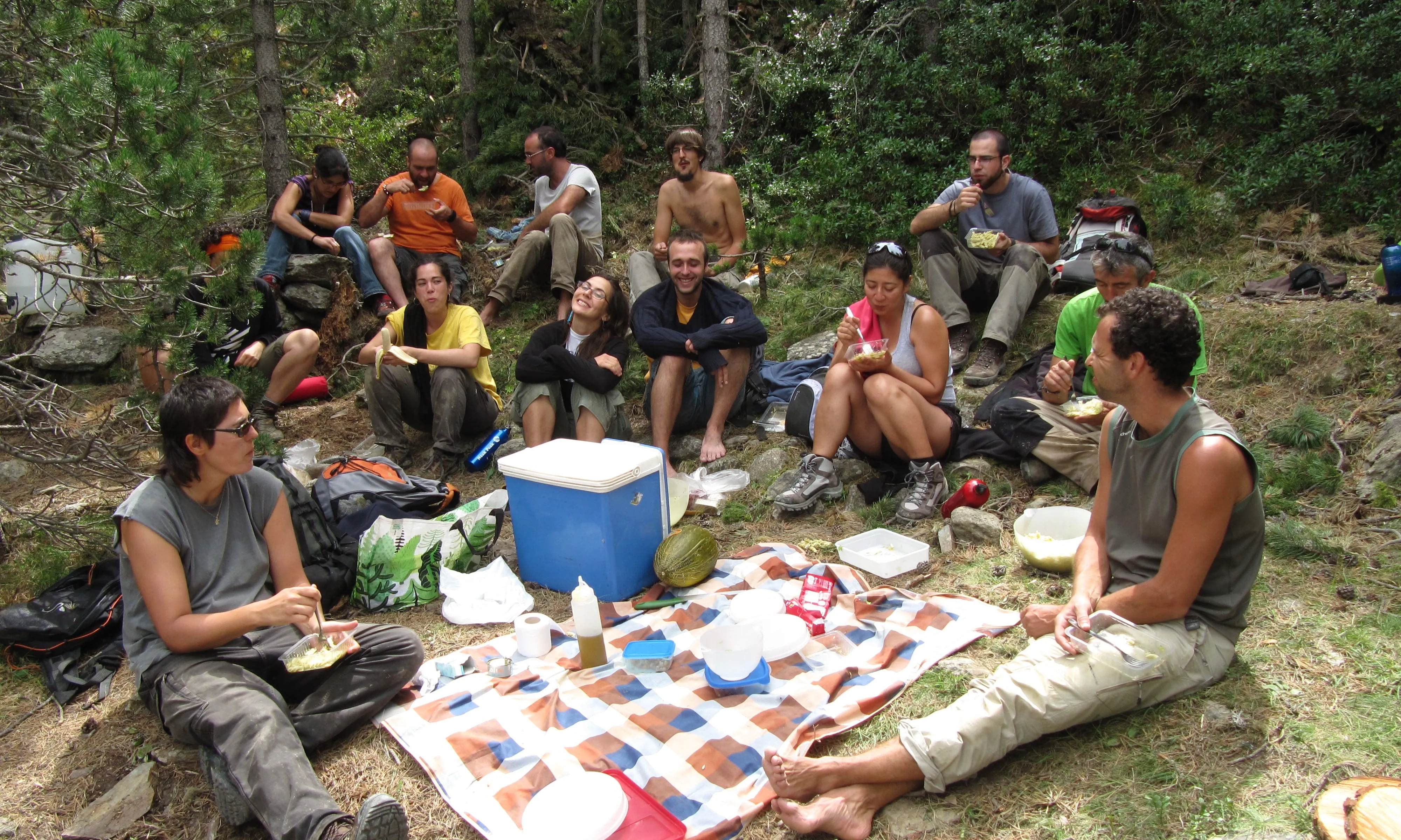 La cohesió del grup és fonamental / Font: Projecte Boscos de Muntanya