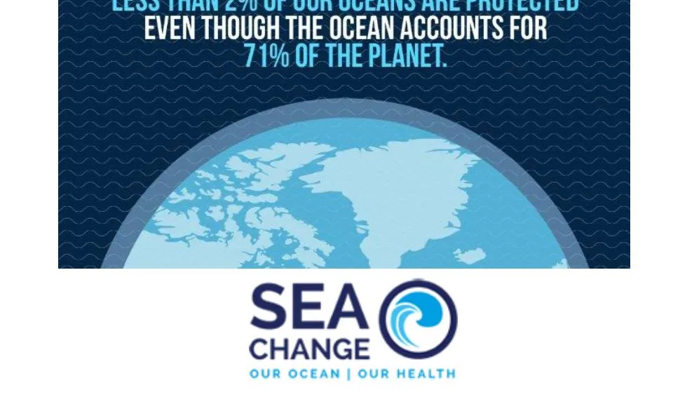 Un consorci amb 9 centres de recerca marina i 5 entitats ambientals impulsa el projecte Sea Change (imatge:seachange.eu)
