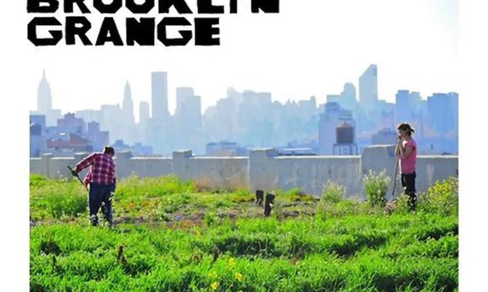 Pagesia urbana als taulats de Nova York, al documental "Brooklyn farmer" (imatge: Brooklyn farmer)