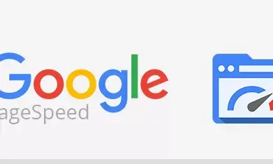 Google PageSpeed Insights, us indica el temps que tarda en carregar-se la vostra pàgina web. 