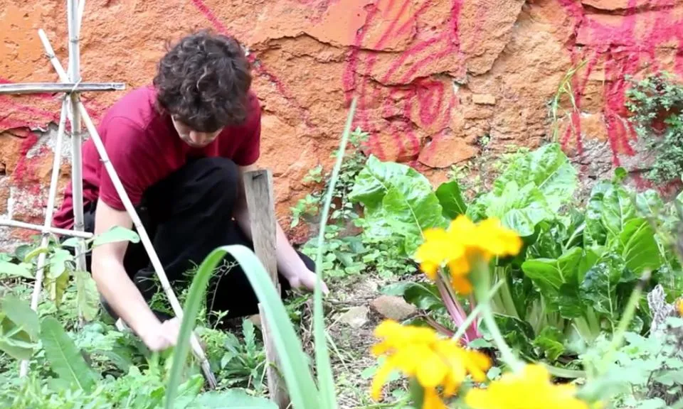 L'espai de l'Hort del Forat al barri de la Ribera de Barcelona és un racó verd dintre de la ciutat (imatge: El sueño del mirlo)