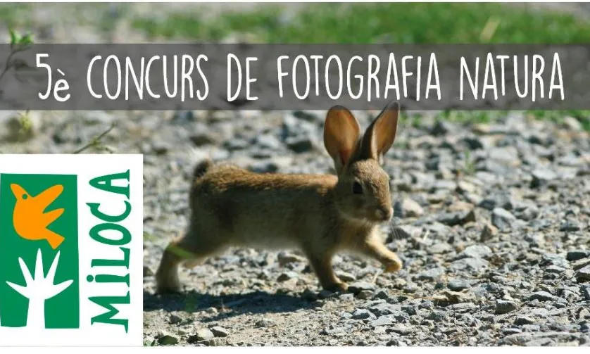  Miloca organitza un concurs de fotografia de natura (imatge: miloca)
