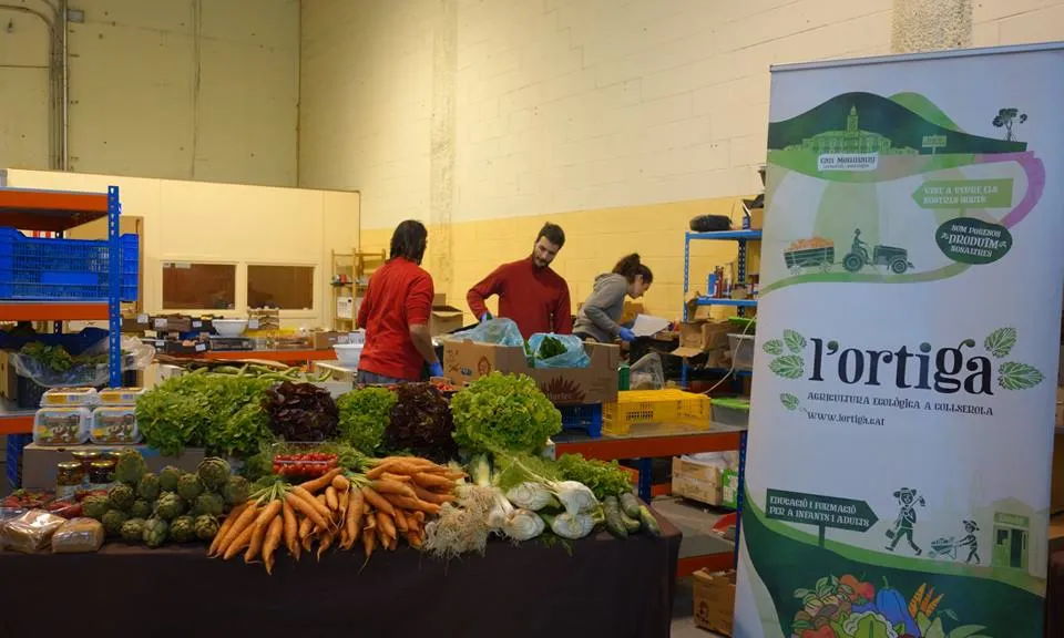 Distribució d'aliments / Foto: L'Ortiga