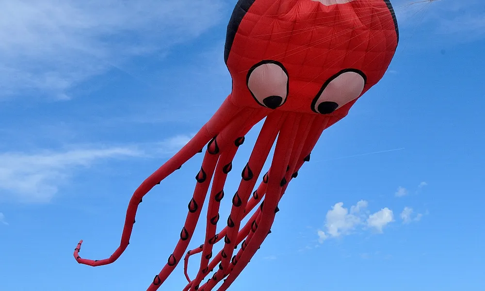 Estels de l'anterior edició d'aquest esdeveniment