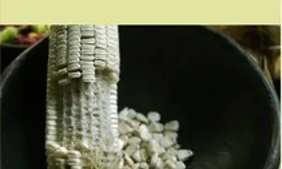 Experiències a favor de la sobirania alimentària a Catalunya, Equador, Mèxic i Nicaragua. Font: Alba Sud