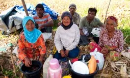 A la comunitat Minangkabau (Sumatra), les dones hereten i gestionen la terra (foto: Anna Boyé).