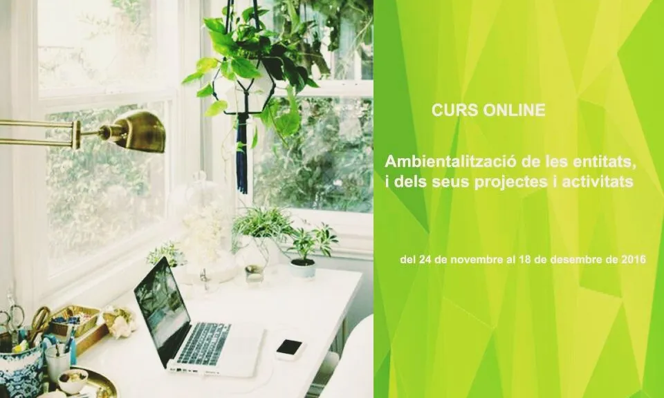 El curs es desenvolupa entre el 24 de novembre i el 18 de desembre (imatge: xvac)