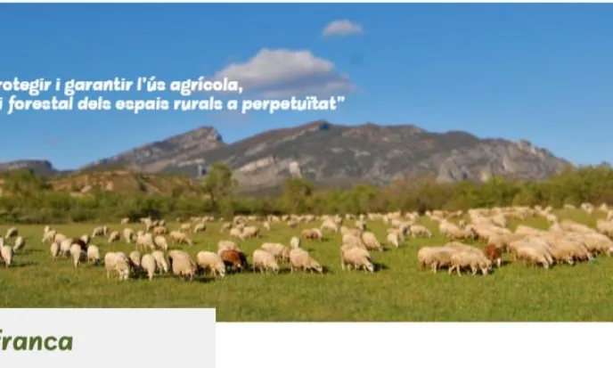 L'Escola de Pastors col·labora amb l'associació Terra Franca, per facilitar l'accés a la terra (imatge: Terra Franca) 