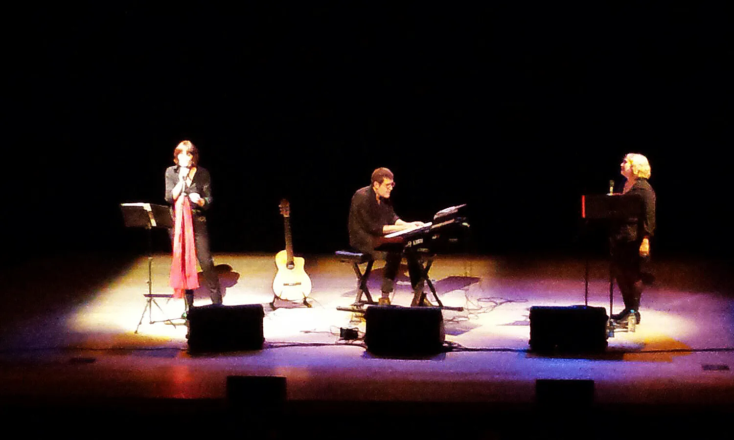 Roig, recital d’homenatge a Montserrat Roig (font: Comèdia).