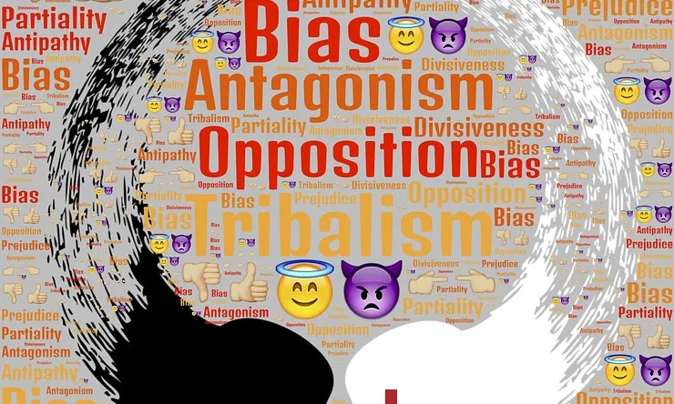 En aquest procés, cal identificar i formular el conflicte amb claredat i precisió. Font: Pixabay