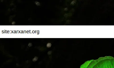 El procés de comprovació d'indexació a Bing és el mateix que Google