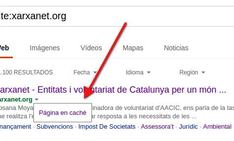 A Bing també podreu saber quin ha estat l'últim dia que s'ha indexat la pàgina. 