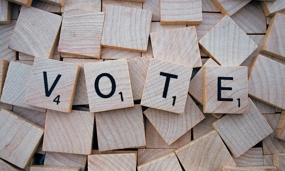 Fins ara els i les jutges solien vincular automàticament la incapacitat amb la pèrdua del dret a vot. Font: Pixabay