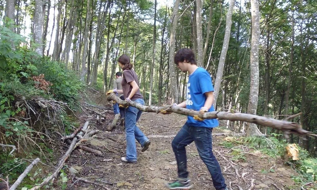 Voluntariat ambiental a Tavertet (imatge:  fundaciocatalunya-lapedrera.com)