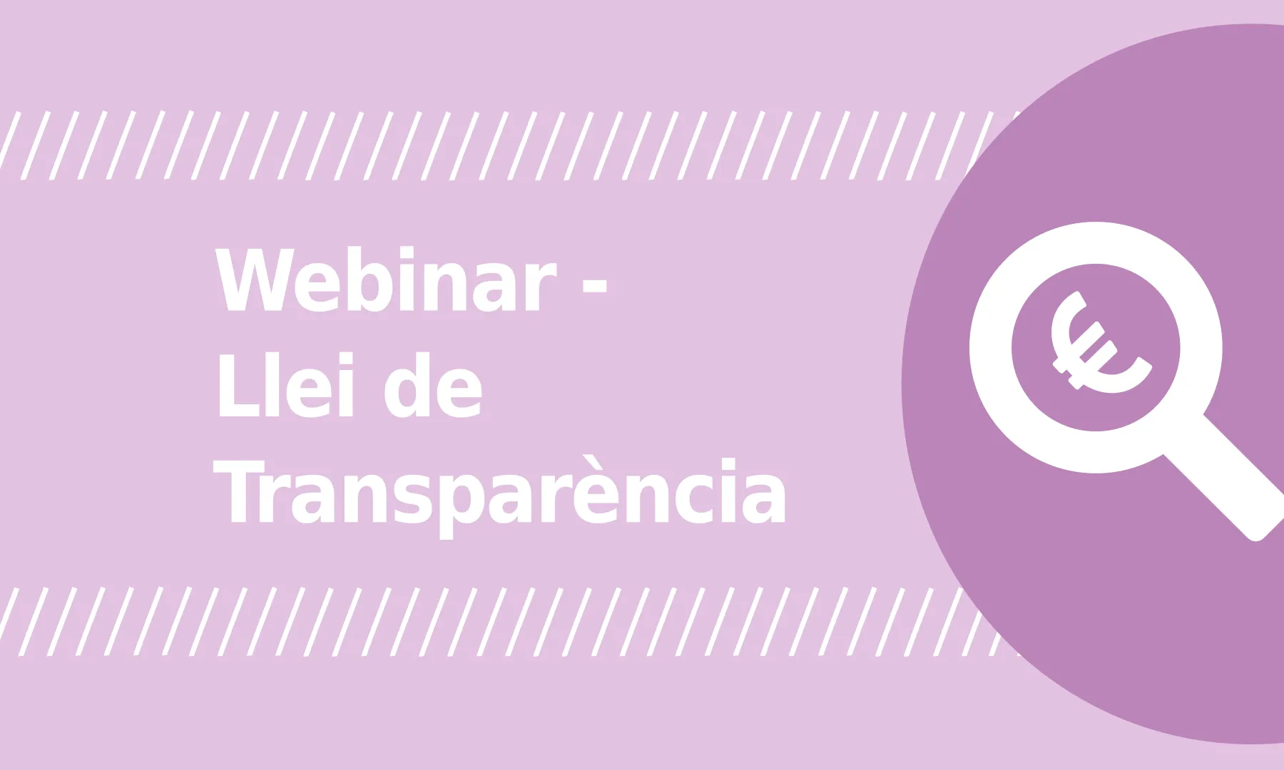 Webinar "Com complir amb la Llei de Transparència?". Font: El Teb