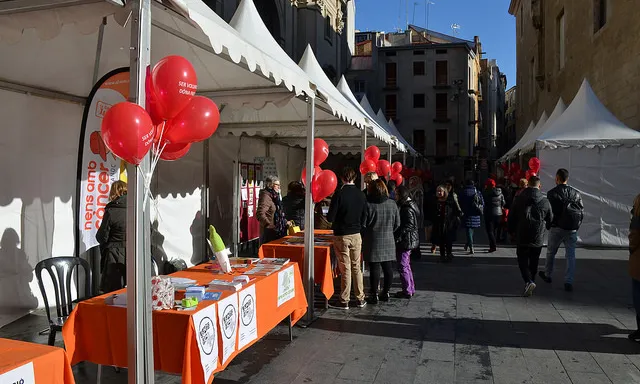 Imatge de la VI Fira d'Entitats Socials de Lleida (Font: FCVS)