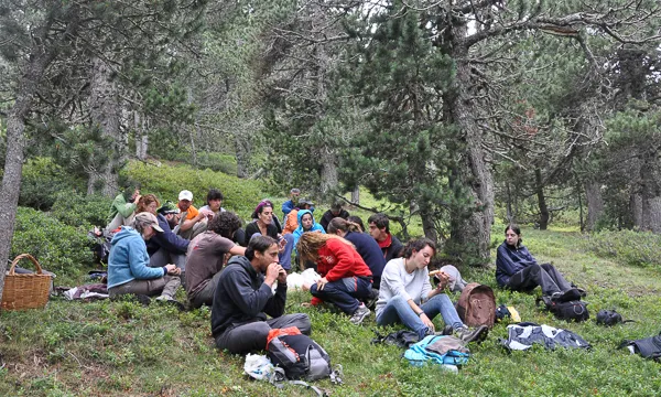 Les estades representen una immersó al bosc, per dormir, menjar i treballar en la millora (imatge: projecteboscos.cat)