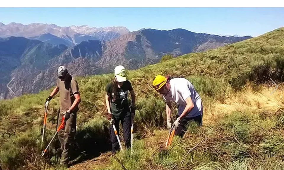 Enguany les estades seran a la Vall de Cardós, al Pallars Sobirà, i al Massís de l'Orri, al Parc  Natural de l'Alt Pirineu (imatge: projecteboscos.cat)