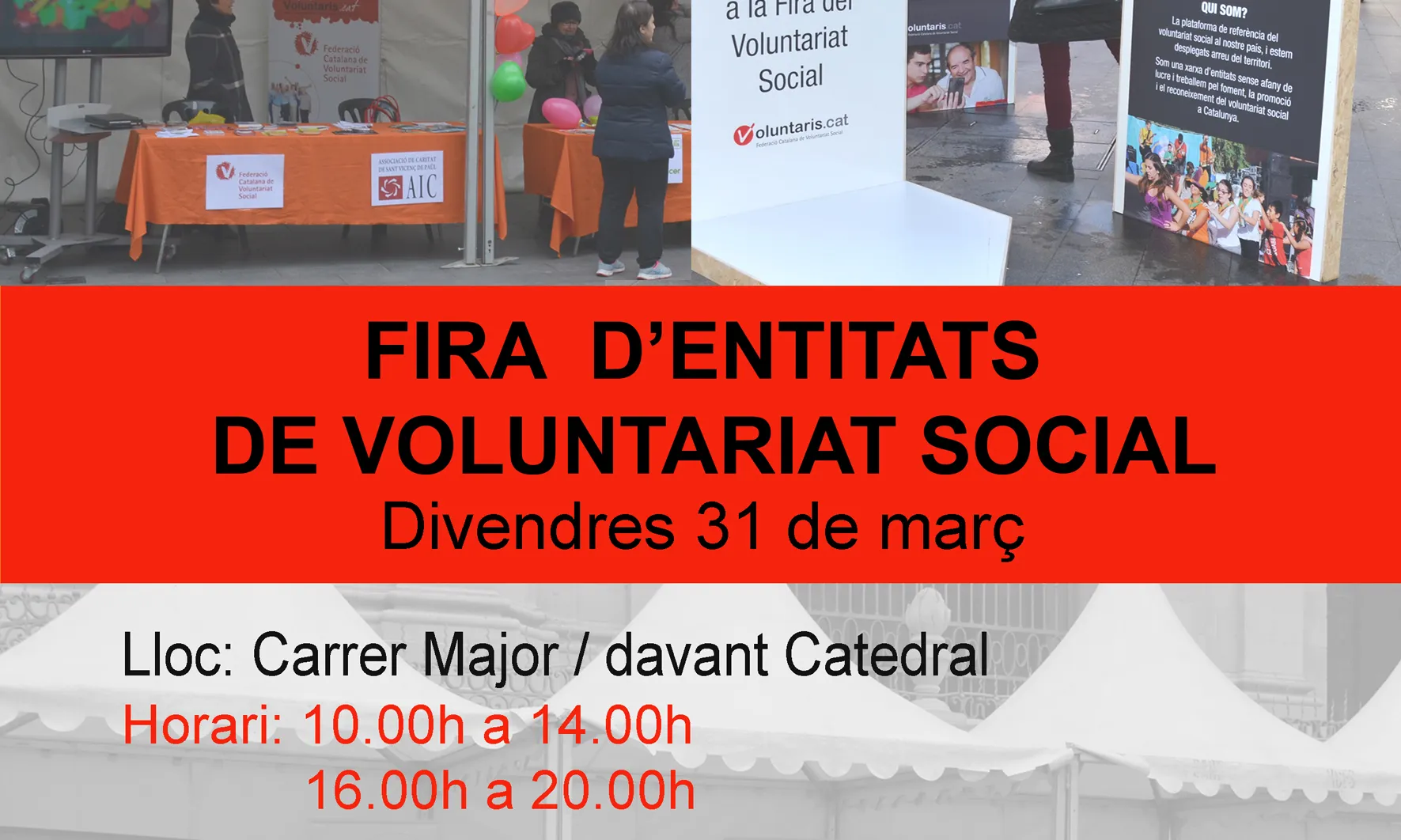 Gairebé una trenta d’entitats sortiran al carrer per apropar i sensibilitzar sobre la seva tasca i el paper del voluntariat (Font: FCVS)