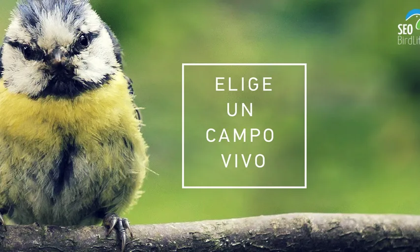 Seo BirdLife és una de les impulsores de la campanya Living Land 