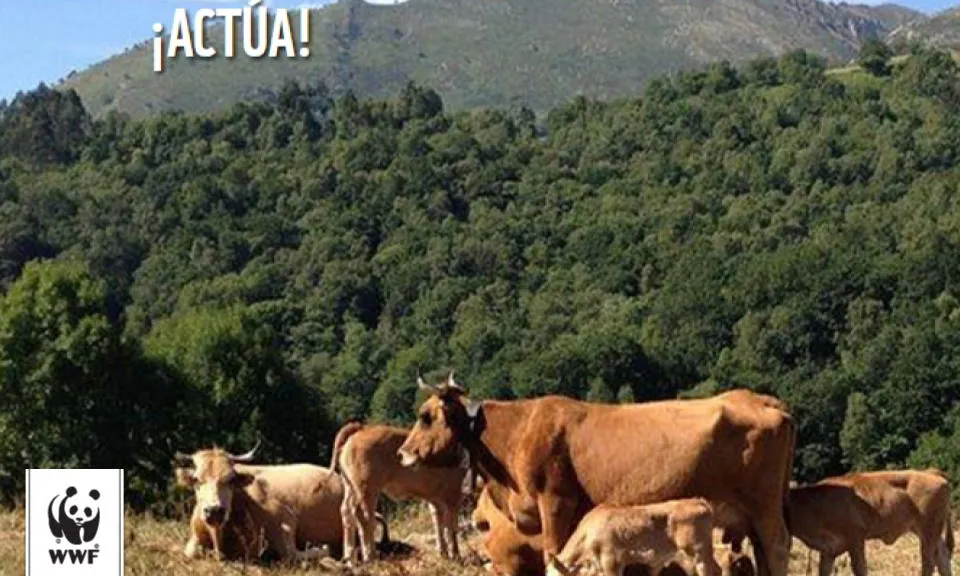 Les entitats critiquen que la PAC ha promogut l'agricultura industrial 