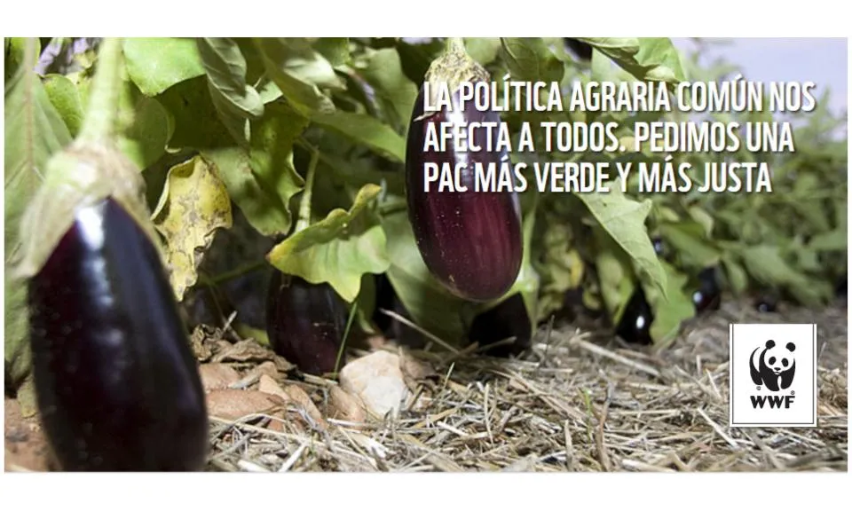 El model d'agricultura definit per la PAC impacta sobre l'alimentació, la salut i el mediambient.