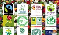 Etiquetes relacionades amb la producció sostenible de flor tallada 