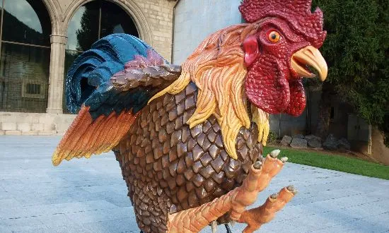 Gall de Ripoll