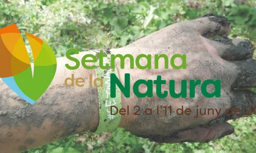 Imatge de la Setmana de la Natura 