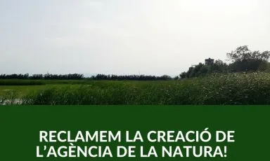 Les entitats ambientals reclamen la creació de l'Agència de la Natura 