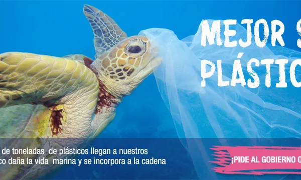 Greenpeace proposa una calculadora per conèixer la petjada de plàstic