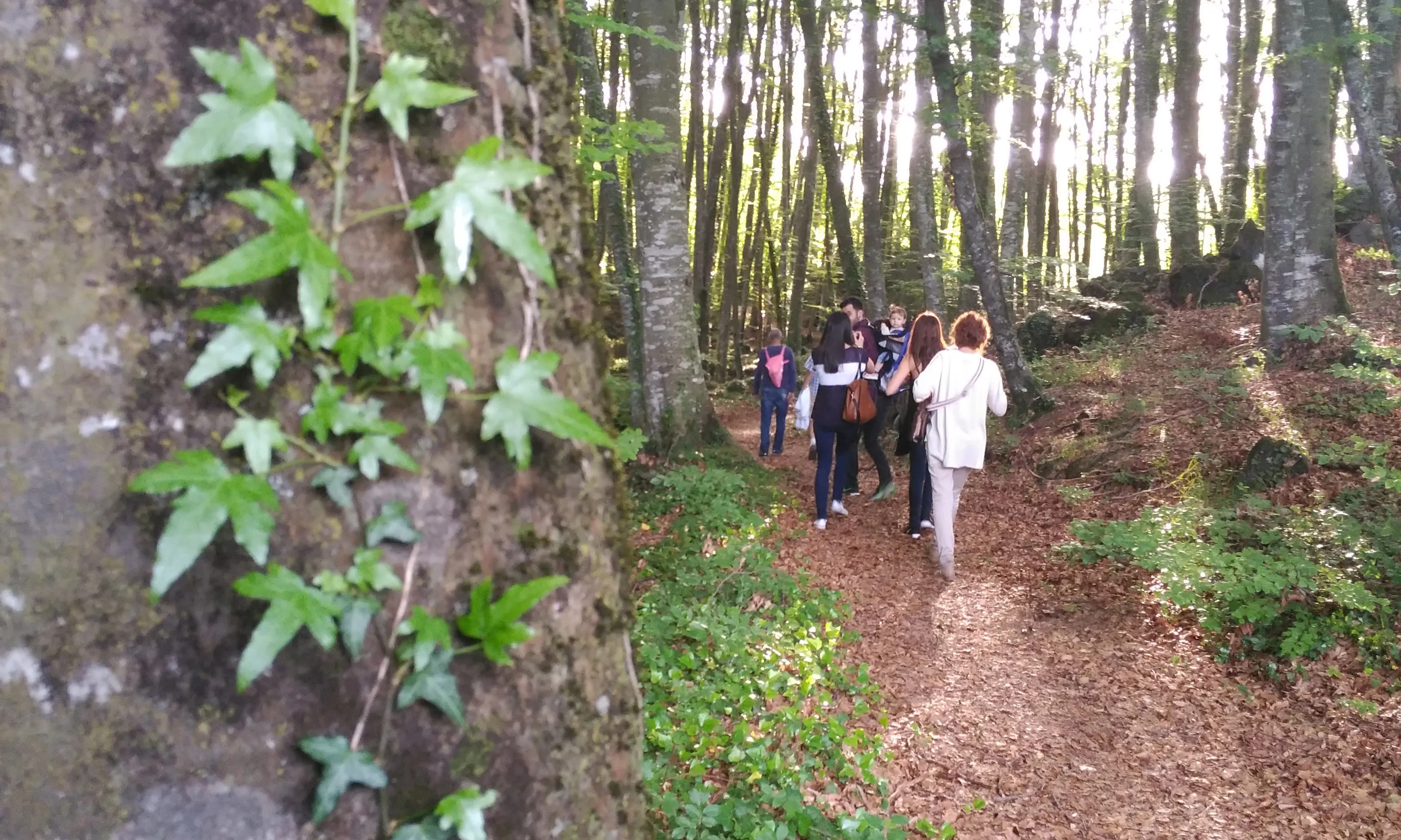 La fotografia expressa la connexió amb la natura 
