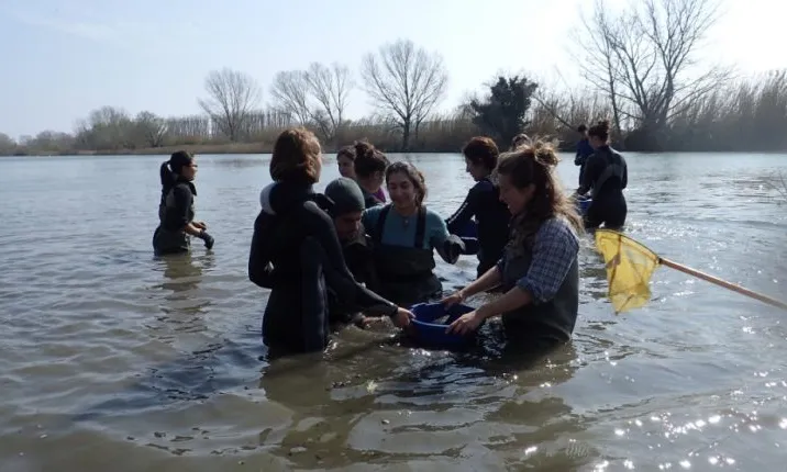 Voluntariat Ambiental al Ter amb La Sorellona