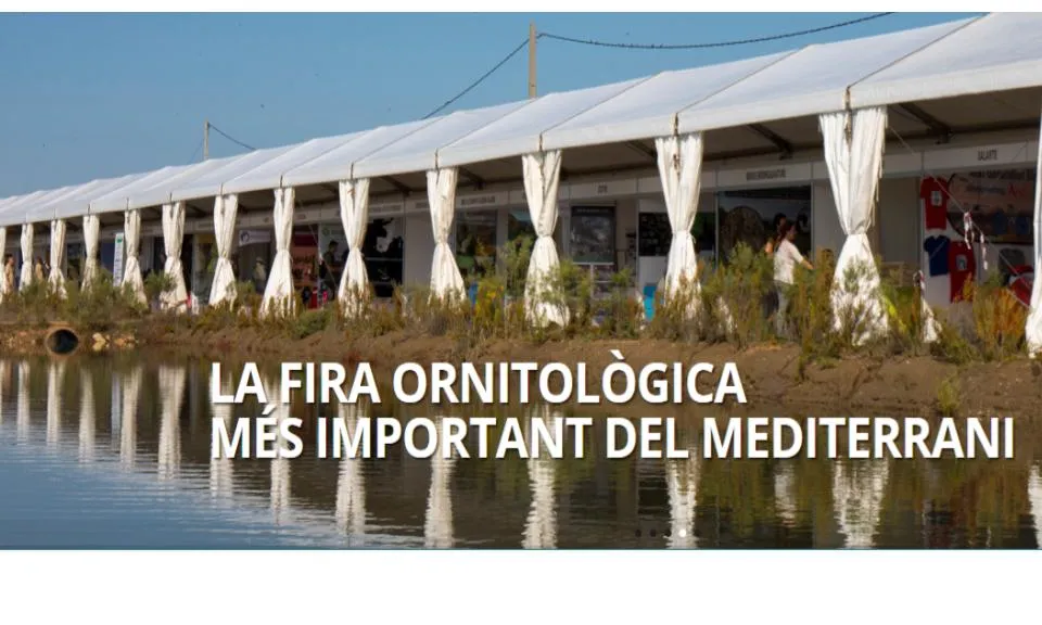 Un gran nombre d'expositors es reuneixen al Delta Birding Festival 