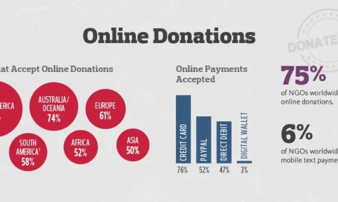 Conclusions de l'any 2016 sobre les donacions online.