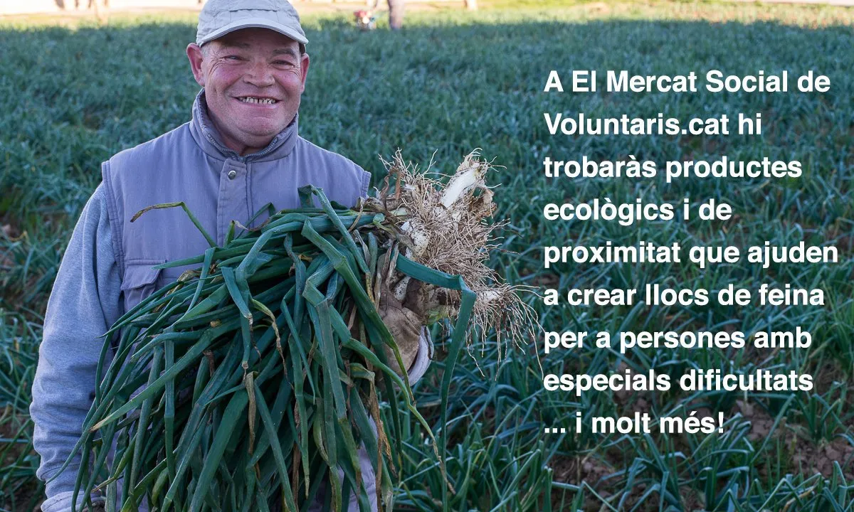 Productes ecològics a El Mercat Social