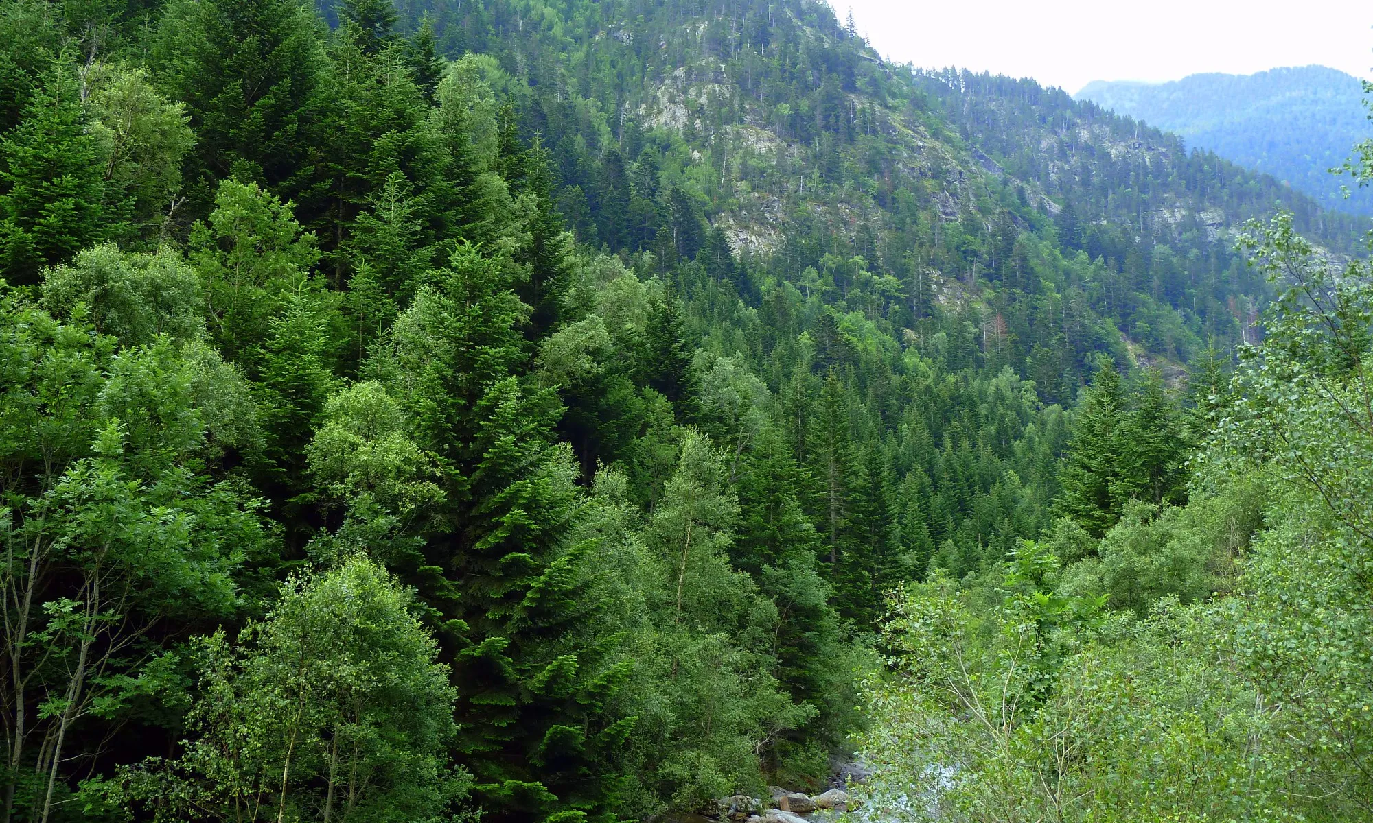 Entitats del sector ambiental alerten riscos sobre el sector a causa de la situació política