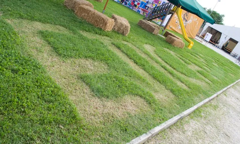 Ètica en un jardí