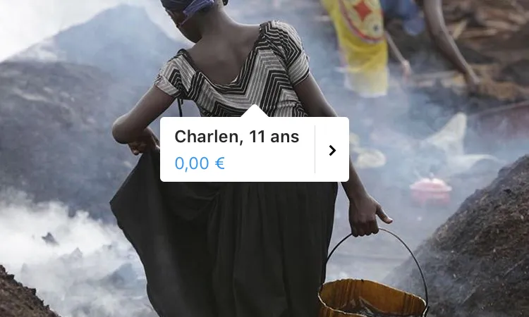 Ella i companyes seves produeixen carbó vegetal a Costa de Marfil 