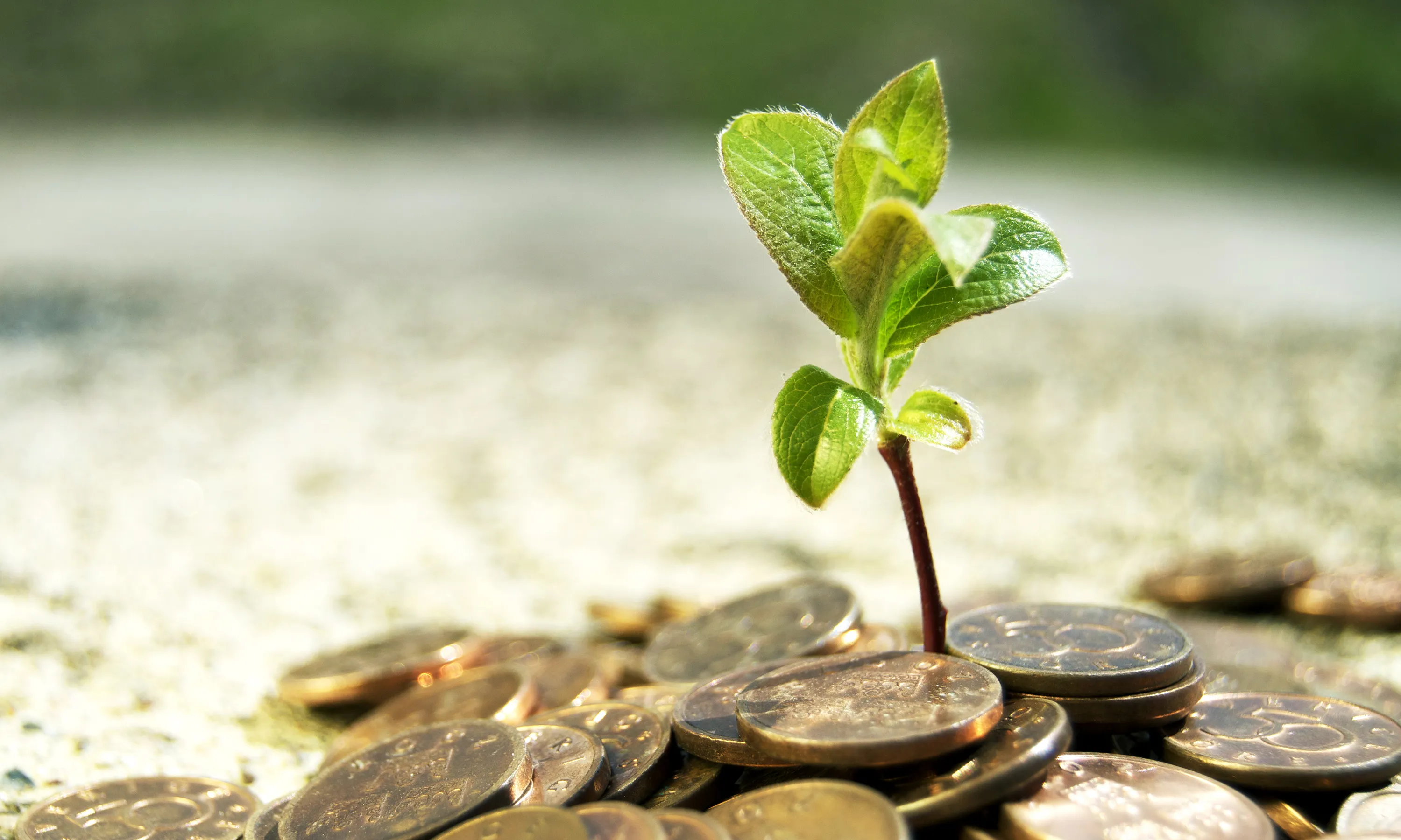 Finances ètiques, un nou model alternatiu al capitalisme.