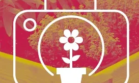 El concurs de fotogràfia de Cornella "La Natura a casa" vol mostrar qualsevol aspecte natural present al municipi