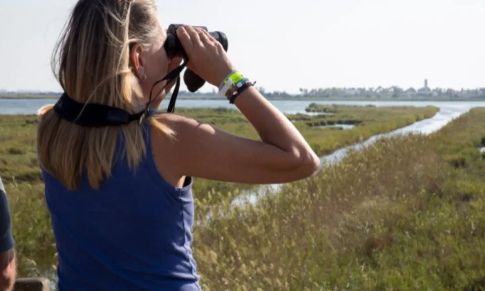 El Delta Birding Festival se celebra del 21 al 23 de setembre al Delta de l'Ebre